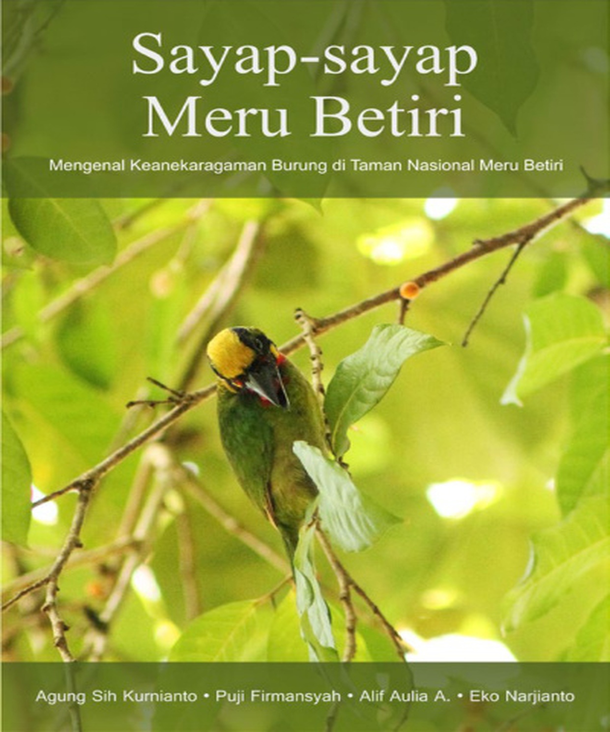 Sayap-sayap Meru Betiri